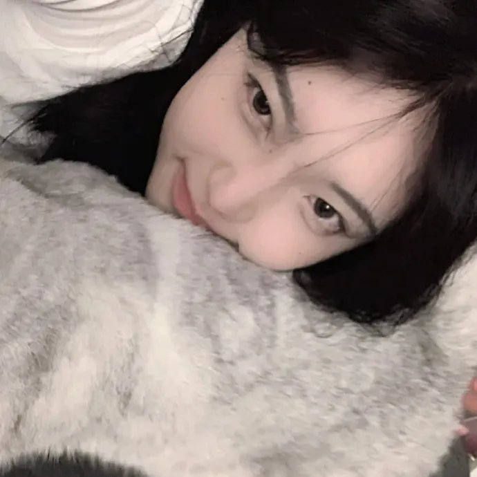 美食总动员